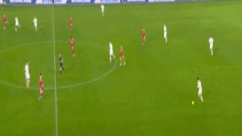 “若日尼奥有望成为弗拉门戈中场关键球员”