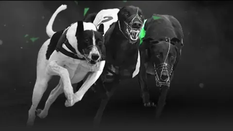 波杰姆大乐透期号专家推荐：质合分析前区十码